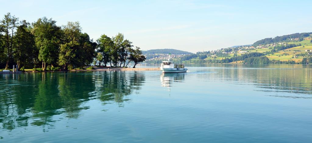 Seehotel Delphin Meisterschwanden Εξωτερικό φωτογραφία