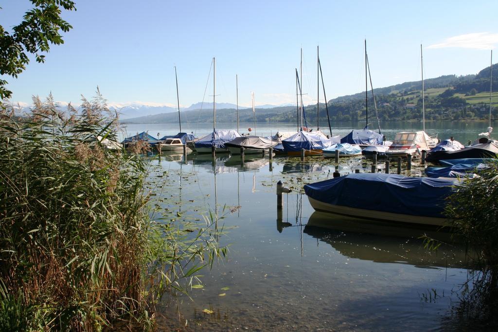 Seehotel Delphin Meisterschwanden Εξωτερικό φωτογραφία