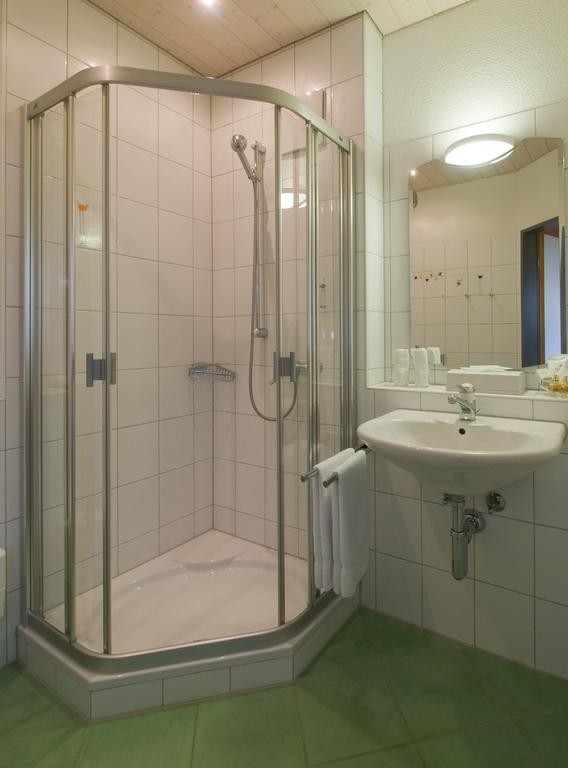 Seehotel Delphin Meisterschwanden Δωμάτιο φωτογραφία