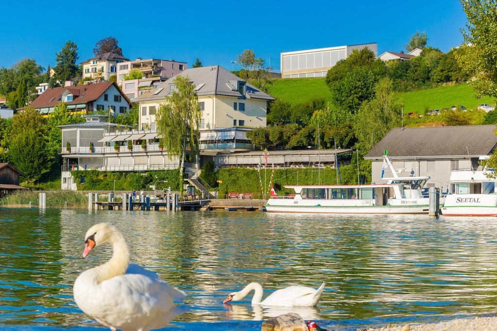 Seehotel Delphin Meisterschwanden Εξωτερικό φωτογραφία